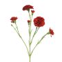Fiore decorativo garofano AHONG, rosso, 60 cm, Ø 6-7 cm