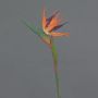 Fiore artificiale Strelitzia WEIYU, arancione-viola, 60 cm, 10x13 cm