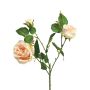 Ramo di rosa in plastica SHIYUN, crema-rosa, 60 cm, Ø 3,5-8,5 cm