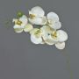 Ramo decorativo di orchidea Phalaenopsis SONGYA, bianco-verde, 50 cm, Ø 6-7 cm