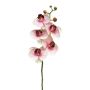 Ramo decorativo di orchidea Phalaenopsis SONGYA, rosa-crema, 50 cm, Ø 6-7 cm