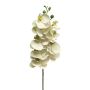 Ramo decorativo di orchidea Phalaenopsis SONGYA, bianco, 75 cm
