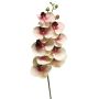 Ramo decorativo di orchidea Phalaenopsis SONGYA, rosa-crema, 75 cm