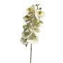 Ramo decorativo di orchidea Phalaenopsis SONGYA, bianco, 105 cm