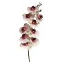 Ramo decorativo di orchidea Phalaenopsis SONGYA, rosa-crema, 105 cm