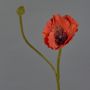 Fiore decorativo papavero YILAN, rosso, 60 cm, Ø 12 cm