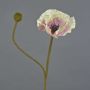 Fiore decorativo papavero YILAN, rosa-bianco, 60 cm, Ø 12 cm