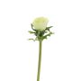 Fiore decorativo anemone BOYANG, verde chiaro, 35cm, Ø6cm