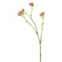 Ramo di petunia in plastica YAWEI, rosa-crema, 60 cm