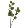 Ramo di eucalipto artificiale AOSHAN, verde, 80 cm