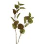 Ramo di eucalipto artificiale AOSHAN, marrone-verde, 80 cm