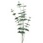 Ramo decorativo di eucalipto FENYU, verde-bianco, 90 cm