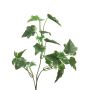Ramo artificiale di edera LANSHUO, verde-bianco, 55 cm