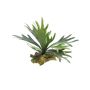 Pianta artificiale felce a corna MIAOLI, su stelo, verde, 25 cm
