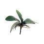 Foglie decorative di orchidea Phalaenopsis XIAOQIN con radici aeree, 25 cm