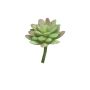 Sedum rubrotinctum AOLUO artificiale su stelo, verde-rosso, 16 cm