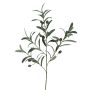 Ramo decorativo di ulivo WANLI con frutti, 75cm