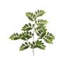 Ramo in plastica di robinia WENLIN, verde, 70 cm