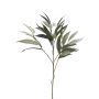 Ramo artificiale di mango WENLIAN, verde-grigio, 75 cm