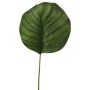 Foglia decorativa Calathea Orbifolia ZICHEN, verde, 45 cm