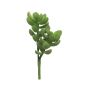 Succulenta artificiale "albero dei soldi" MUNING, su stelo, verde, 14 cm
