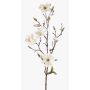 Magnolia artificiale LILO, crema, 75cm, Ø5-9cm
