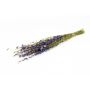 Mazzo di fiori secchi Delphinium AITHANA, blu-verde, 70 cm, Ø 18 cm