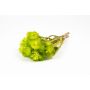 Mazzo di fiori secchi BIBIANA, verde mela, 30-40 cm, Ø 15 cm