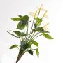 Anthurium artificiale LORIE su stelo, crema, 55cm, 6x8cm