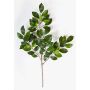 Ramo finto di Ficus Benjamini AJITH, verde, 45cm
