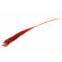 Mazzo di canne secche DONJETA, rosso bordeaux, 115-120cm, Ø10cm