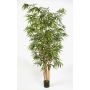Pianta decorativa in bambù FUDO, fusti naturali, 240 cm
