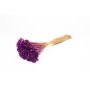 Girasole mediterraneo essiccato AKALITI, mazzo, viola, 40-55 cm, Ø 11 cm