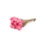 Mazzo secco di fiori di paglia BIBIANA, rosa chiaro, 35-45 cm, Ø 15 cm