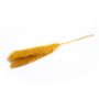 Erba della pampa essiccata ANIAMI, giallo-arancio, 130-140 cm, Ø 20 cm