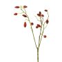 Ramo decorativo di rosa selvatica XINGRUI con cinorrodi, rosso, 45cm
