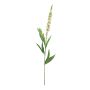 Fiore decorativo veronica KECAI, bianco, 75cm