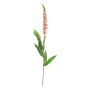 Fiore decorativo veronica KECAI, rosa, 75cm