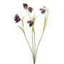 Ramo artificiale di fritillaria PITARA, viola scuro-rosa, 50 cm