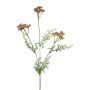 Ramo decorativo di achillea YISUAN, rosa, 50 cm, Ø 6 cm