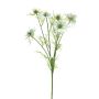 Ramo decorativo di cumino nero TIANKE, azzurro, 65 cm, Ø 7-8 cm
