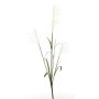 Ramo decorativo di erba della pampa LINEN con pannocchie, bianco, 145 cm