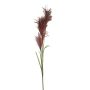 Ramo decorativo di erba della pampa LINEN con pannocchie, rosso bordeaux, 145 cm