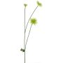 Fiore decorativo: crisantemo YUNJUAN, color crema, 60cm