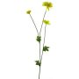 Fiore decorativo crisantemo YUNJUAN, giallo, 60cm