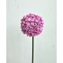 Fiore artificiale Allium LOKJAN, rosa shocking, 70 cm