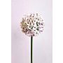 Fiore artificiale Allium LOKJAN, bianco-viola, 70 cm