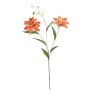 Giglio tigrato decorativo DUNKA, color salmone, 70cm