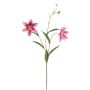 Giglio tigrato decorativo DUNKA, rosa-fucsia, 70cm
