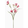 Ramo decorativo di campanula EMMELY, rosa scuro, 65 cm, Ø 5 cm